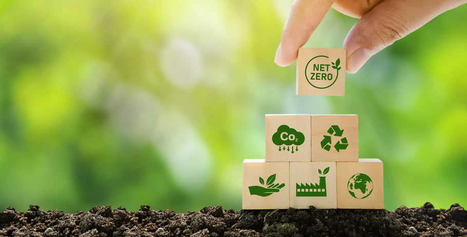 Sustainable Promotional Products in Marketing