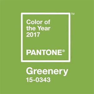 2017 Color of the Year